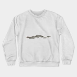 European Eel Crewneck Sweatshirt